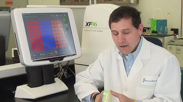 How the Seahorse XF Works