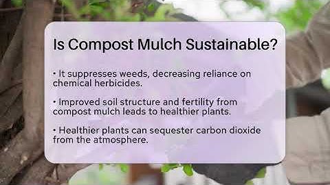 Is Compost Mulch Sustainable? - The Plant Enthusiast