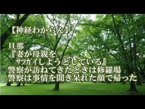 【神経わからん】旦那『妻が母親をｻﾂｶﾞｲしようとしている』 → 警察が私を訪ねてきたときは本当に修羅場だったわ。警察は事情を聞き呆れた顔で帰った → 後日談・・・