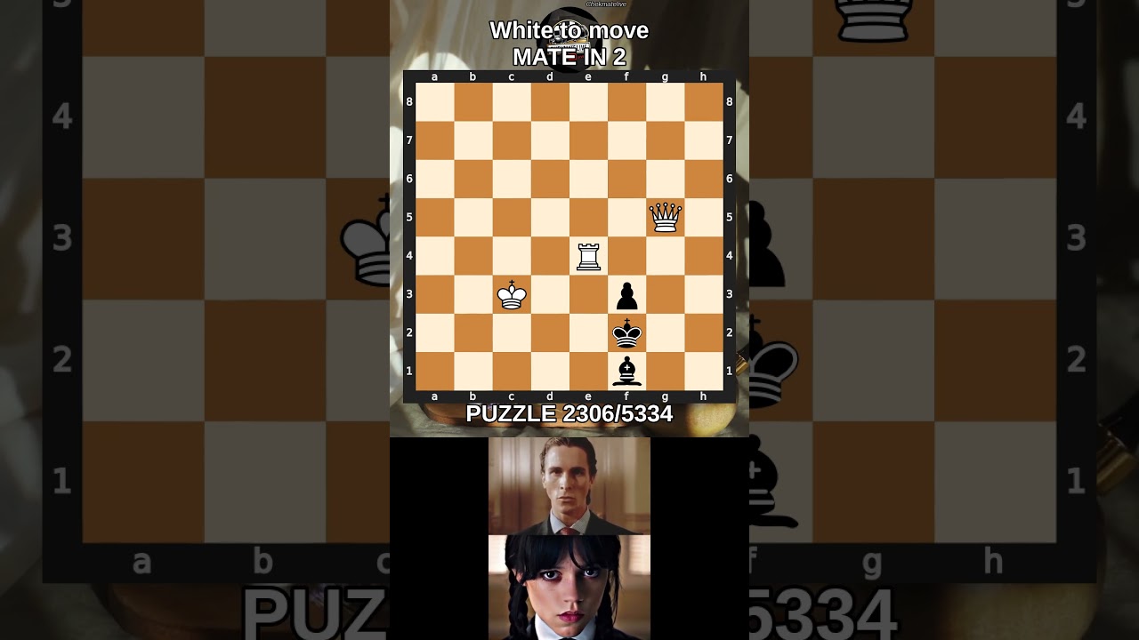 Mate in 2 🧩2306/5334 