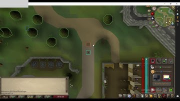 OSRS world hop AHK script showcase