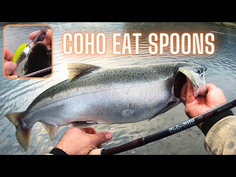 How to Catch Coho Salmon Spoon Fishing the Vedder River