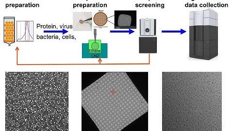 Introduction to negative staining and cryo-EM – Liguo Wang at the 5th LBMS Annual Cryo-EM Course