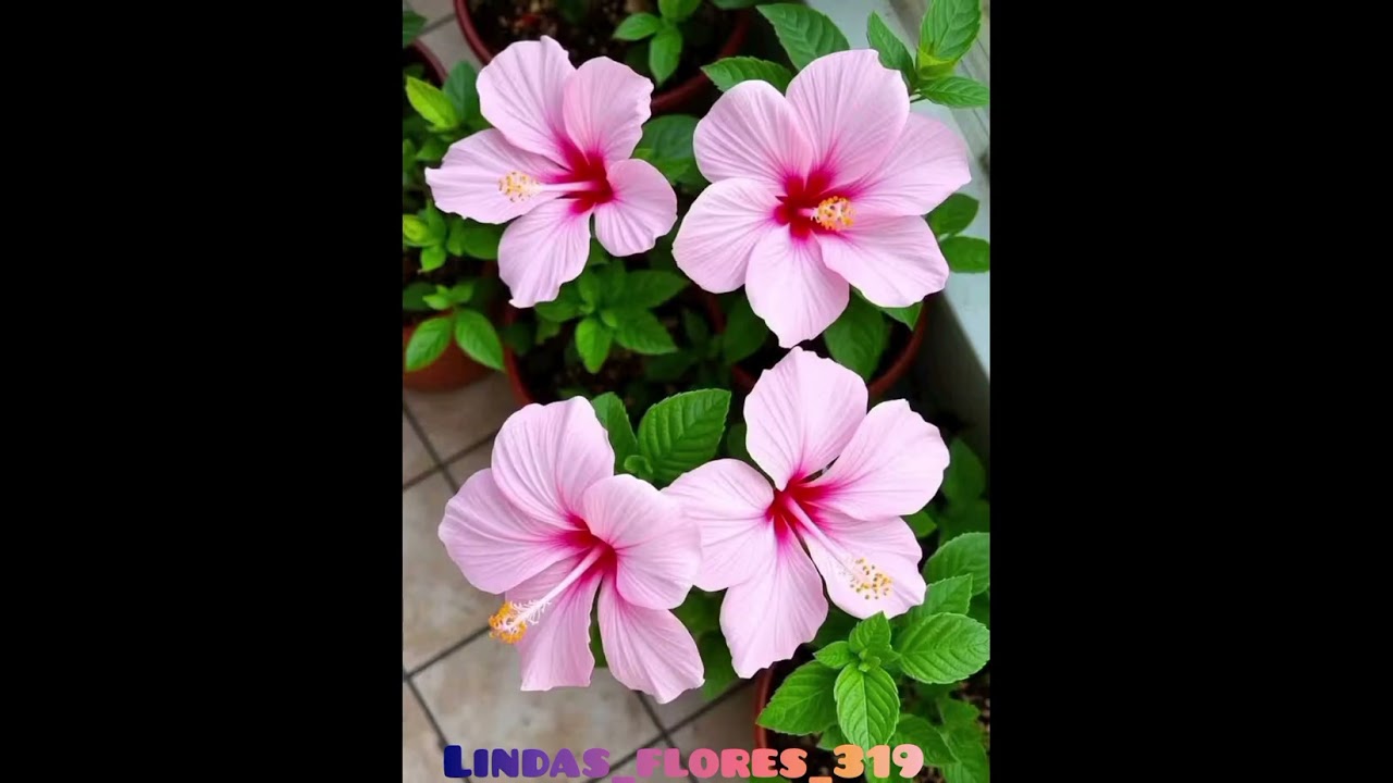 26 de febrero de 2026