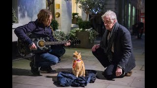 FILM A STREET CAT NAMED BOB (2016) SUBTITLE INDONESIA FULL MOVIE