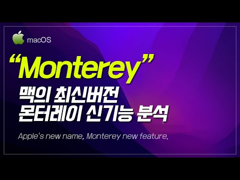 [macOS 팁 #19] 대박!!! 몬테레이 핵심 기능 5가지 | 사파리 | 집중 모드 | 빠른 메모 | 라이브 텍스트 | 단축어 | Monterrey Update | 해보까 TV