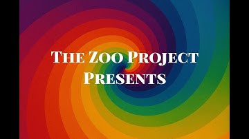 THE ZOO PROJECT NFTS | CRYPTO - TRADING - MEMECOIN - NFT