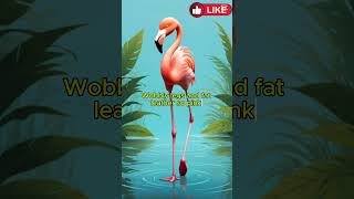 Baby Flamingo Song Song