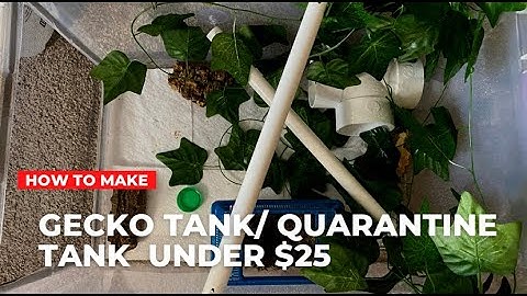 HOW TO BUILD A $25 CRESTED GECKO TANK/QUARANTINE TUB!!