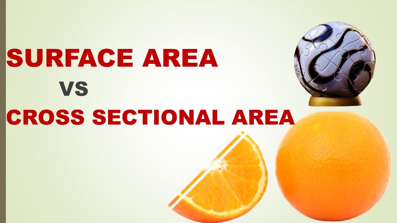 3 Surface Area And Cross Sectional Area In Urdu Hindi YouTube