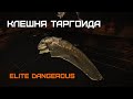 КЛЕШНЯ ТАРГОИДА - Elite Dangerous