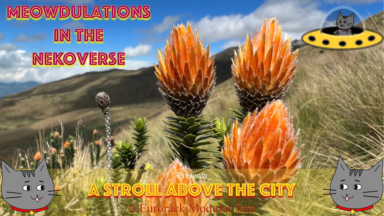 Modular Synth Dreamy Jam | A Stroll Above the City