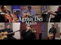 Agnus dei instrumental cover  malin