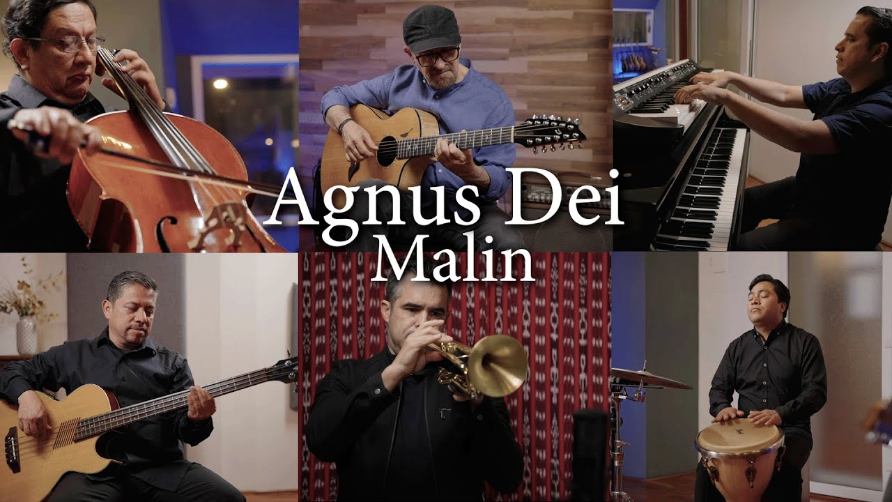 Agnus Dei (Instrumental Cover) - MALIN