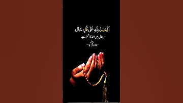 #تلاوة_هادئة #تلاوة_خاشعة #اسلام_صبحي