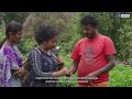 Greening community seeds of change  unesco soer 2023