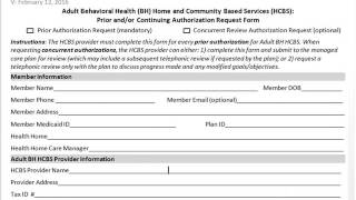 5/13/16 NYS Adult BH HCBS Expedited Workflow Webinar