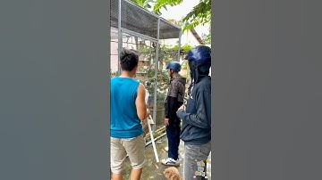 Quà tặng nhập học #shorts