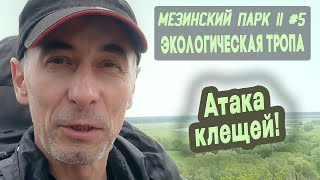 ⛺ Мезинский парк II #5. Экологическая тропа. Край, где ходили мамонты