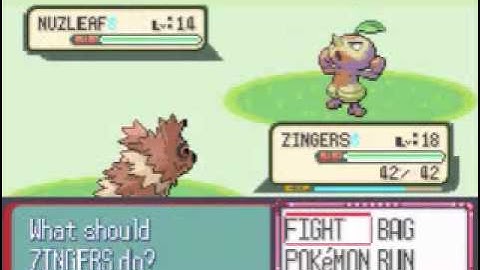 Pokemon Ruby Playthrough! Part 10!