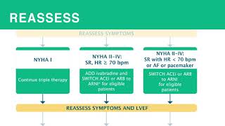 Heart Failure: Treatment of HF with Reduced Ejection Fraction (HFrEF)