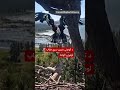 د کوچني ښکاري ګوربت لومړنۍ الوتنه