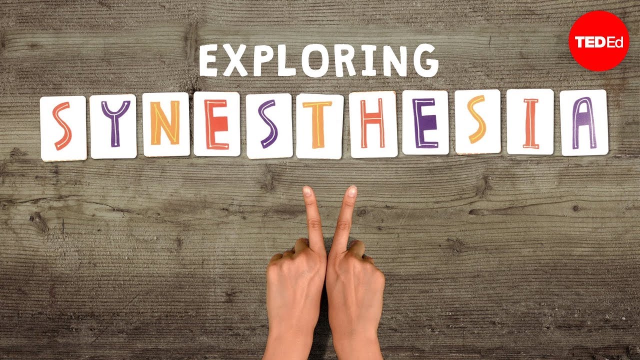 What Color Is Tuesday Exploring Synesthesia Richard E Cytowic YouTube What Color Is Tuesday Exploring Synesthesia Richard E Cytowic YouTube