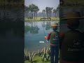 Where Are the Fish in a Pond? Stop Casting to the Middle 🎣