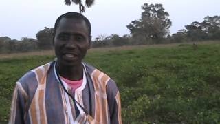 La ferme agricole de Kafesse à Bignona au Sénégal