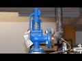 What is Safety Valve law|Theory|Definition| ?