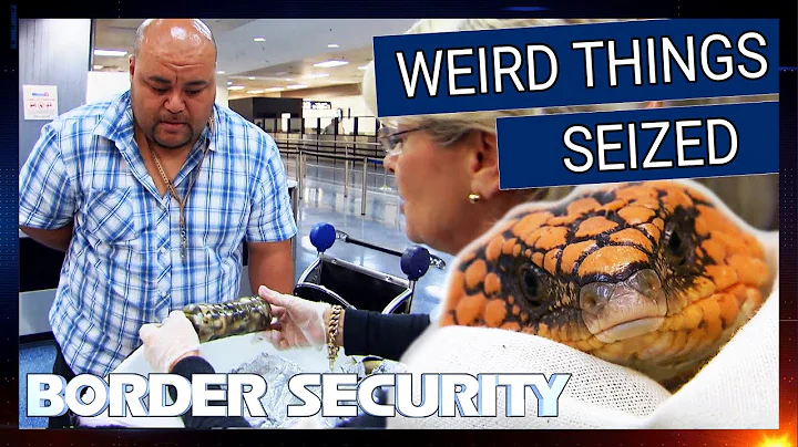 Weirdest Things Seized At Border | Border Security Compilation