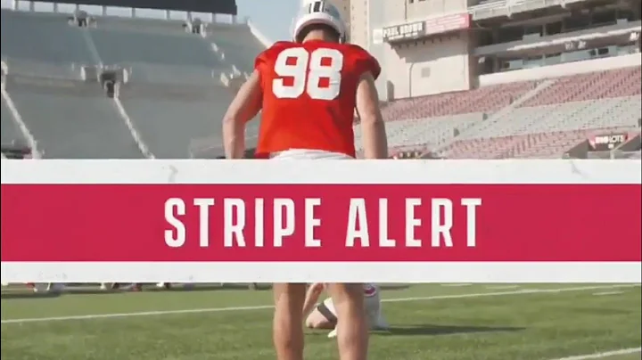 Black Stripe AlertJake Seibert Loses His Black Str...
