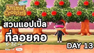 Animal Crossing : Day 13 สวนแอปเปิ้ลที่...ลอยคอ