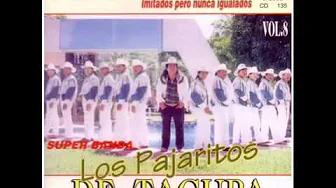 Los pajaritos de tacupa cariño donde andaras Los pajaritos de tacupa cariño donde andaras