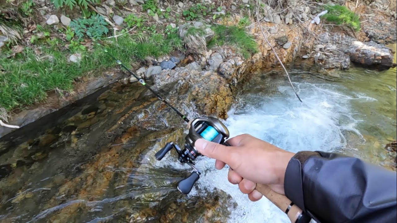 渓流で毒ヘビ 毒カエル 良型イワナ Youtube