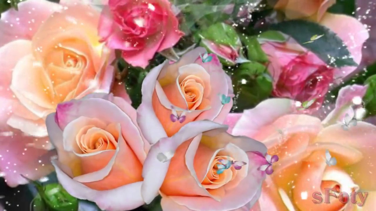 Красивое видео с цветами. Оля с юбилеем розы. Дата красивые видео. Красивые видео vk
