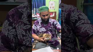 Veterinary Emergency Clinic: 01912252312 by Vet Dr. Sagir Uddin Ahmed 23 views 9 hours ago 1 minute, 14 seconds