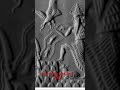 Anunnaki come Back 2029
