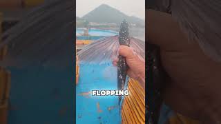 One Touch Total Mayhem