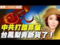 台灣鳳梨被禁，訂購火爆，中共再次打錯算盤；江啟臣：共產黨無法『改變』台灣人的生活【#秦鵬政經觀察 3/2】| #新唐人電視台