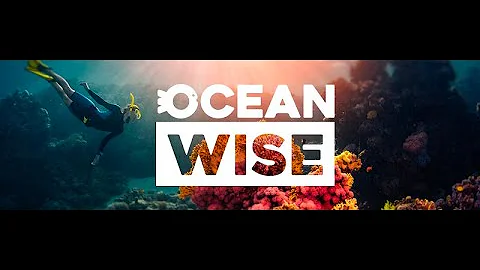 What is Ocean Wise?