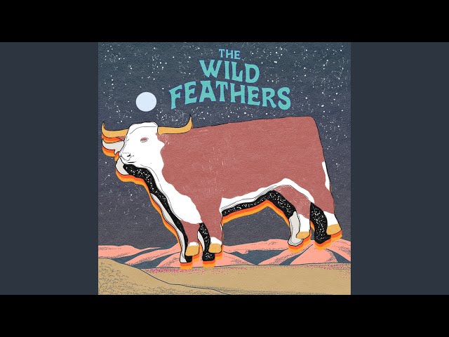 The Wild Feathers - 05 Fire