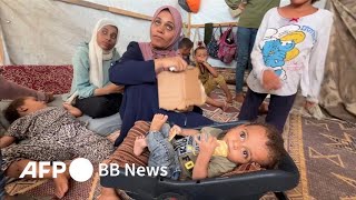 イスラエル、ガザ「人道的戦闘休止」に同意 ポリオ予防接種で（2024年8月撮影）