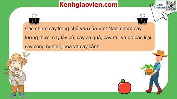 Giáo án powerpoint bài 2: Các phương thức trồng .... | GA điện tử Công nghệ 7 chân trời sáng tạo