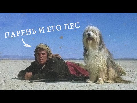 ОТЕЦ АТМОСФЕРЫ ФОЛЛАУТ - парень и его пёс