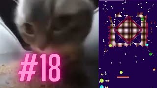 Chipi Chipi Chapa Chapa Cat Meme With Bouncing Ball! (pt18)