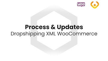 Dropshipping XML WooCommerce - Product Importer - Process & Updates