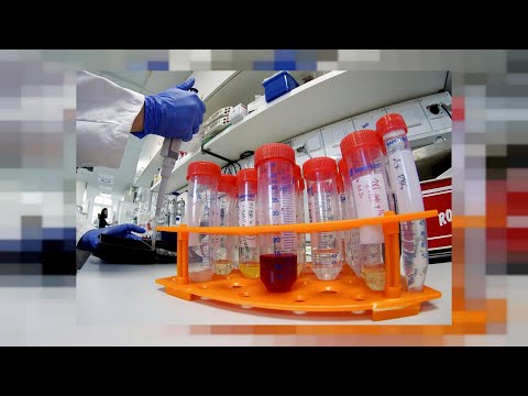 COVID 19-ით ინფიცირების 385 დადასტურებული შემთხვევა