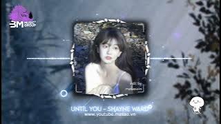 Until You Remix 2024 - TMYN | Shayne Ward | Hot TikTok 0:01
