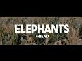 The Elephants - Friend (Official Music Video)